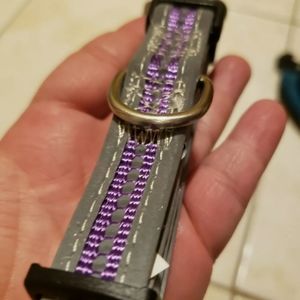 Purple reflective Puppy Dog Collar adjustable